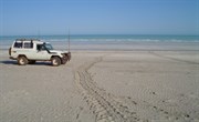 Turtle%2bTracks%2bon%2bthe%2bbeach%2b400m%2bfrom%2bthe%2bpark