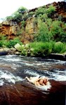 David and Michelle laying in the rapids at Upper Barnett River
