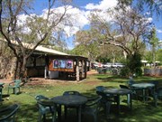 Shady beer garden with campfire at night.