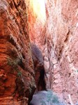 Mini Palms Gorge