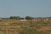 Ningaloo Station