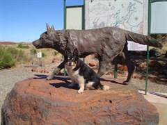 Dampier