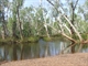 Before river came up 800mm in 3 hrs