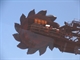 See this machine on the Mine tour