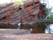 Town Pool - Tom Price