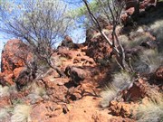 Track from Circular Pool up to Lookout