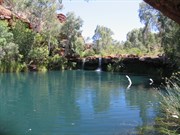 Fern Pool