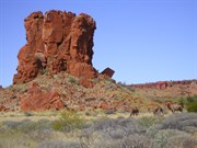 Hanging Rock & camels