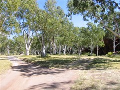 Durba Hills 