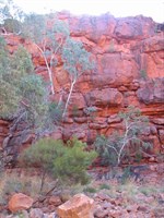 Durba Hills 