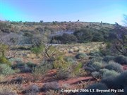 Surrounding area of Well 40 