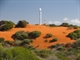 Brilliant sand dunes and flowering heath