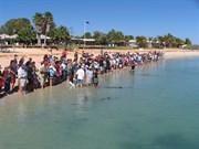 Dolphin feeding.Quite a crowd!
