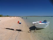 Beach west of dolphin feeding area