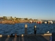 Denham harbour late afternoon