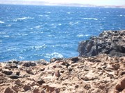 Steep Point - as far west as you can drive