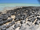 Stromatolites at low tide