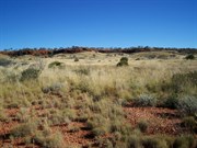 Eastern side of part of the range