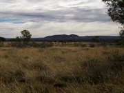 Mount Salvado