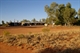 Carnegie Homestead