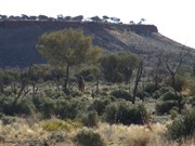 Mt Worsnop and Camel