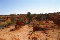 Waterfall Gorge