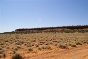 Point Wood
