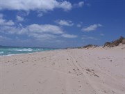 Glenfields Beach just south of the southern beach acces - Nov 