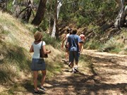 Creek walk leading to cave entrance