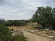 Sandy Point
