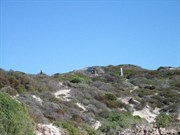 View up to the shack
