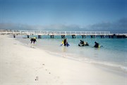Diving at the local jetty