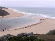 Moore River / Indian Ocean