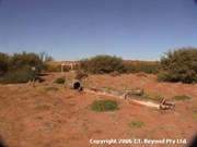 View of Well 43