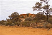 Point Kidman