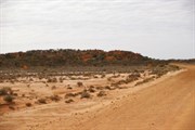 Point Kidman