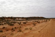 Point Kidman