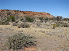 Isolated Hills - One of the many breakaways along the Lake Rason Road 