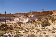Neale Breakaways