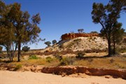 Neale Breakaways