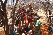 Digging honey ants