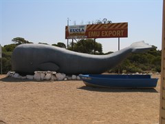 Eucla