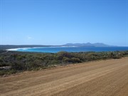 Near Point Ann