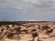 Bilbunya Dunes