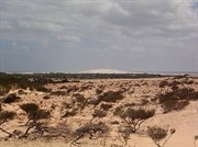 Bilbunya Dunes