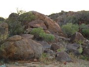 Dead Horse Gully