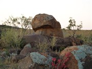 Dead Horse Gully