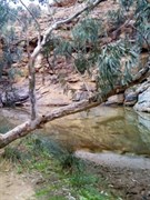 Mutawintji National Park