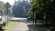 Main Range National Park Car Park at Cunninghams Gap