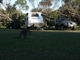 Kylies Beach campground